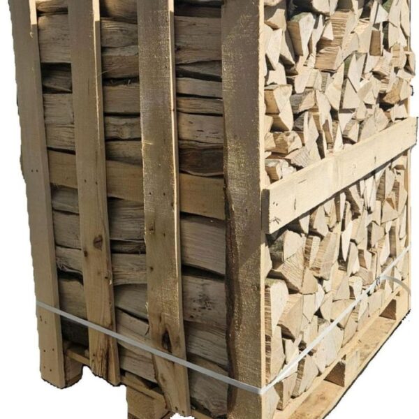 Kaminholz Buche 25 cm | 1 Raummeter (Box) | Kammergetrocknet unter 20% im Kern | Premium Brennholz für Kamin & Ofen | Ofenfertig